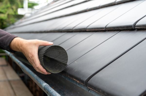 Gutter Mesh Installation in Black Mountain